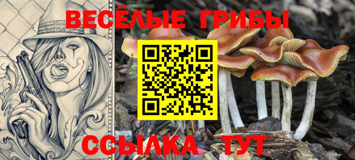 Краснознаменск  где купить наркоту  Вход с VPN  Галлюциногенные грибы ЛСД 