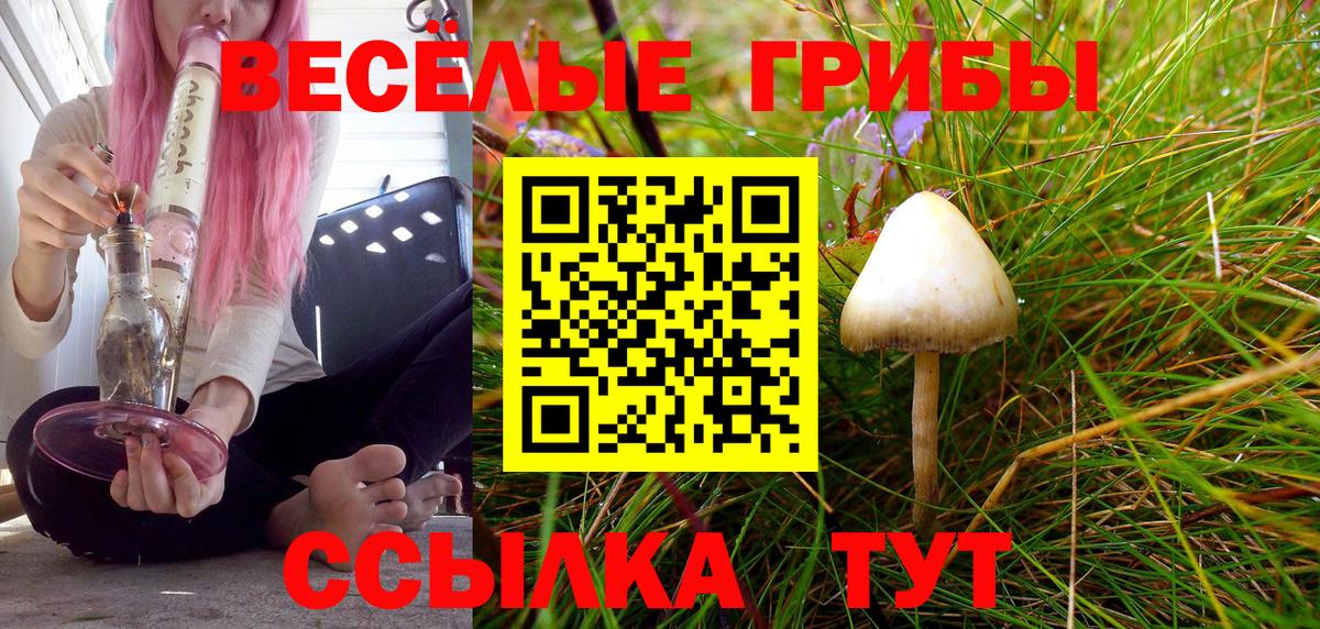 Псилоцибиновые грибы GOLDEN TEACHER Краснознаменск